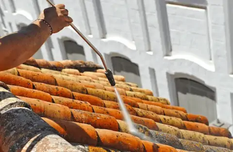 Nettoyage de toitures - Montfort-le-Gesnois